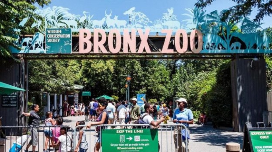 Fidel Castro elegeu o zoológico do Bronx 'a melhor coisa de Nova York'