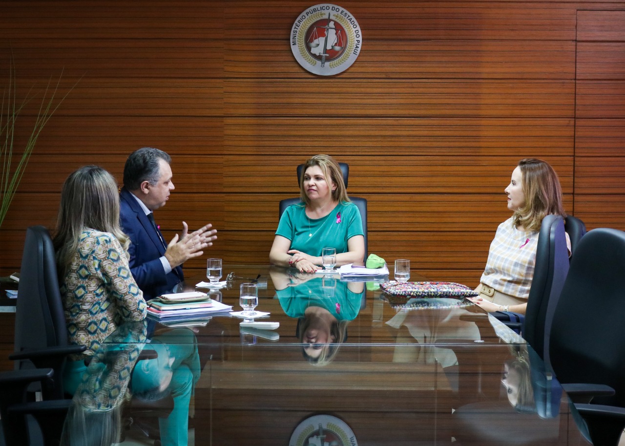 MPPI e SESAPI articulam implementação de núcleo de autocomposição em matéria de saúde