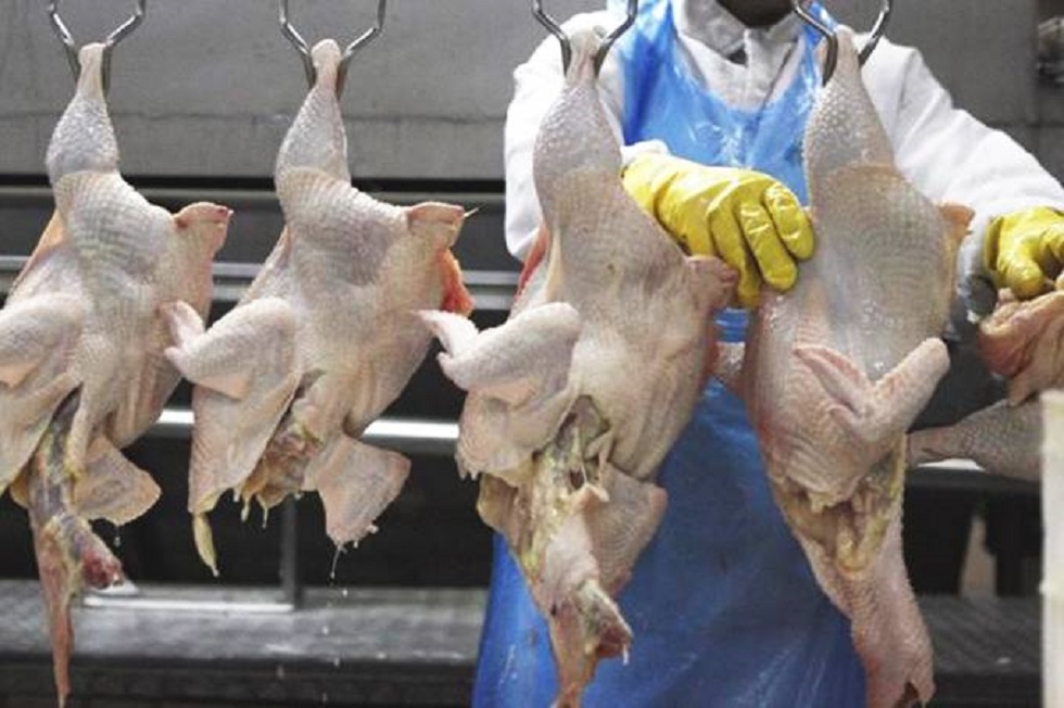 Operação carne fraca