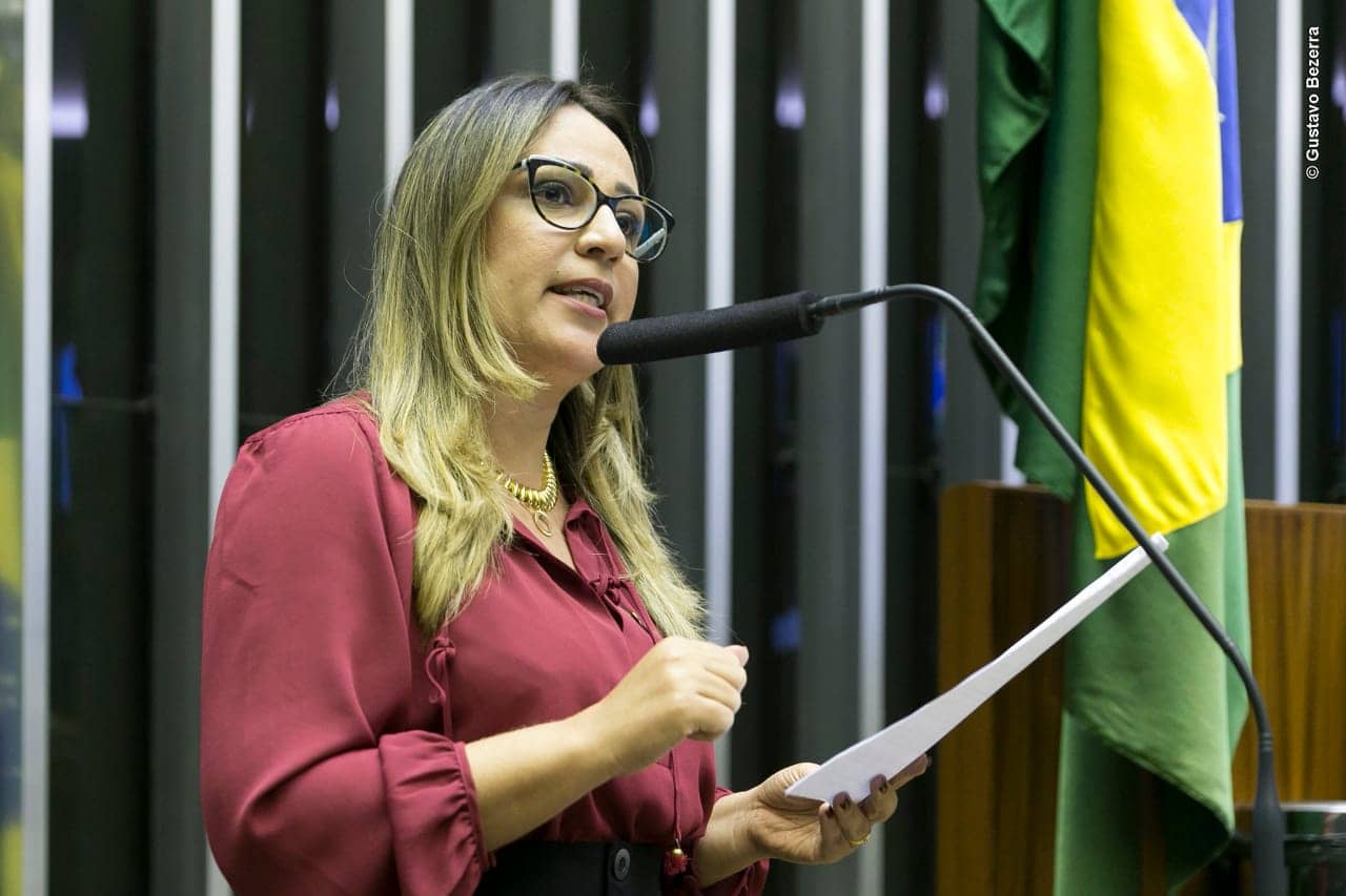 Rejane Dias (PT-PI), foi a 1ª entre parlamentares do PI a apresentar Requerimento à Mesa Diretora da Câmara dos Deputados pela pauta da Polícia Penal