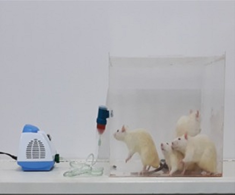 Testes foram realizados em ratos.
