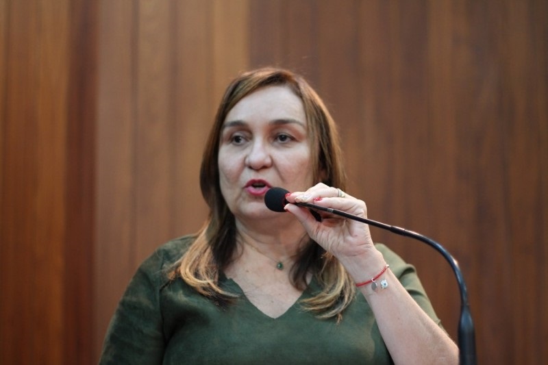 Deputada Estadual Flora Isabel (PT- PI)