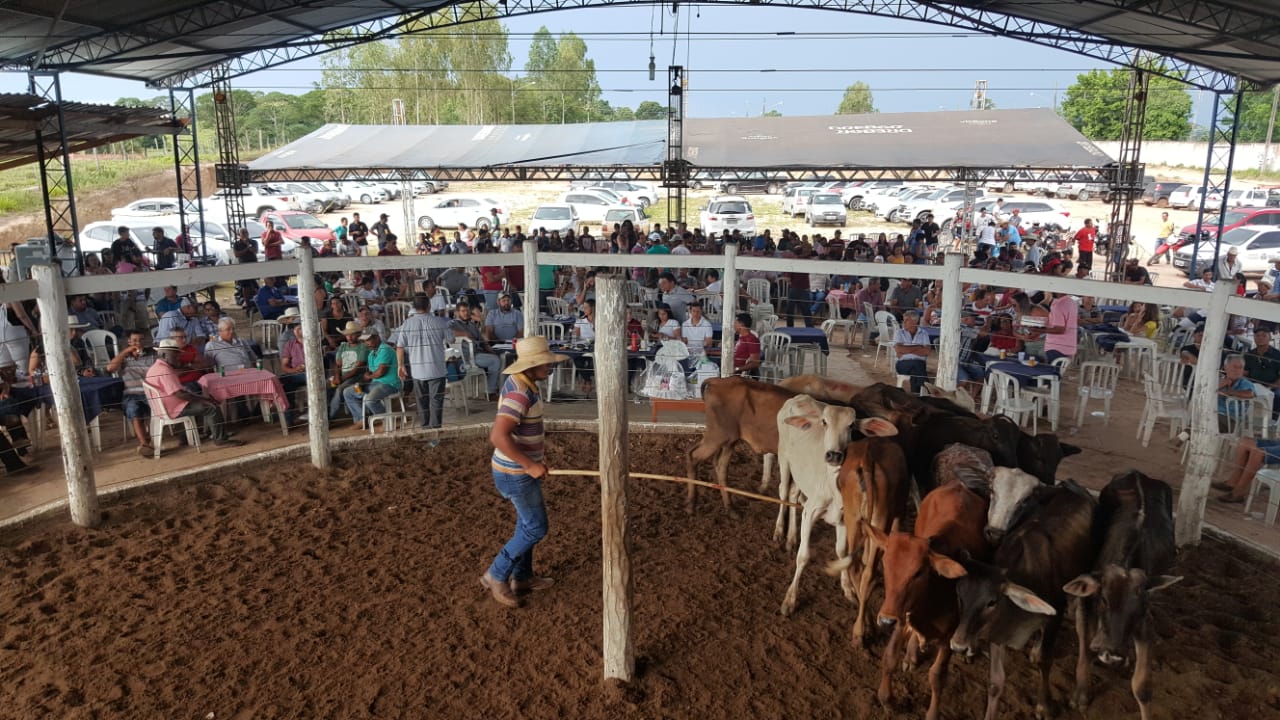 Leilão Jauru/MT