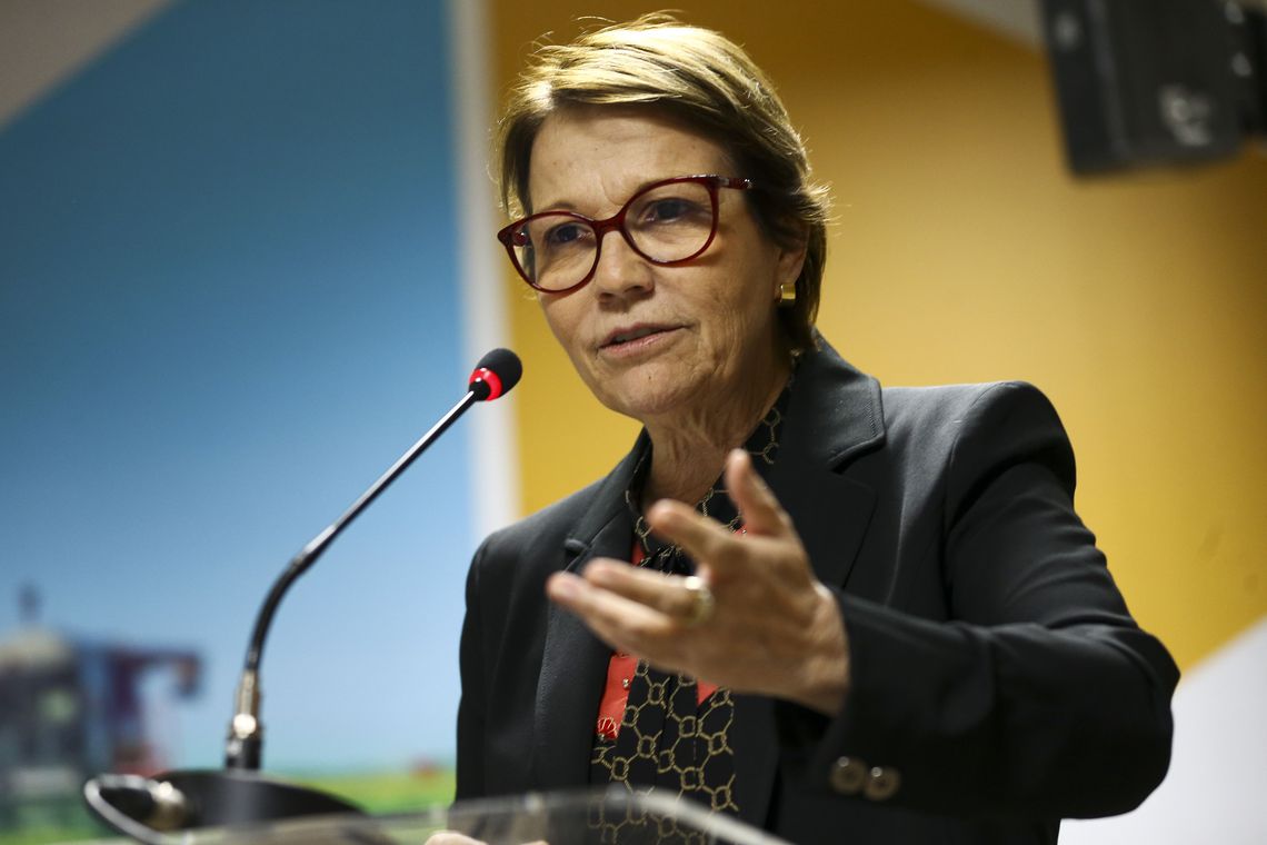 Ministra da Agricultura, Pecuária e Abastecimento, Tereza Cristina