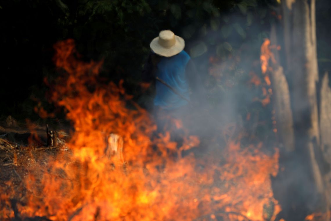 Bolsonaro primeiro deixa a mata pegar fogo, depois tenta apagar