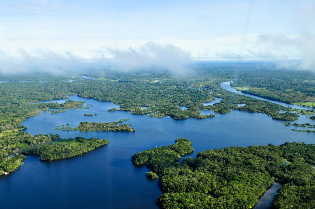 Vista aérea da Floresta Amazônica, próximo a Manaus (AM)