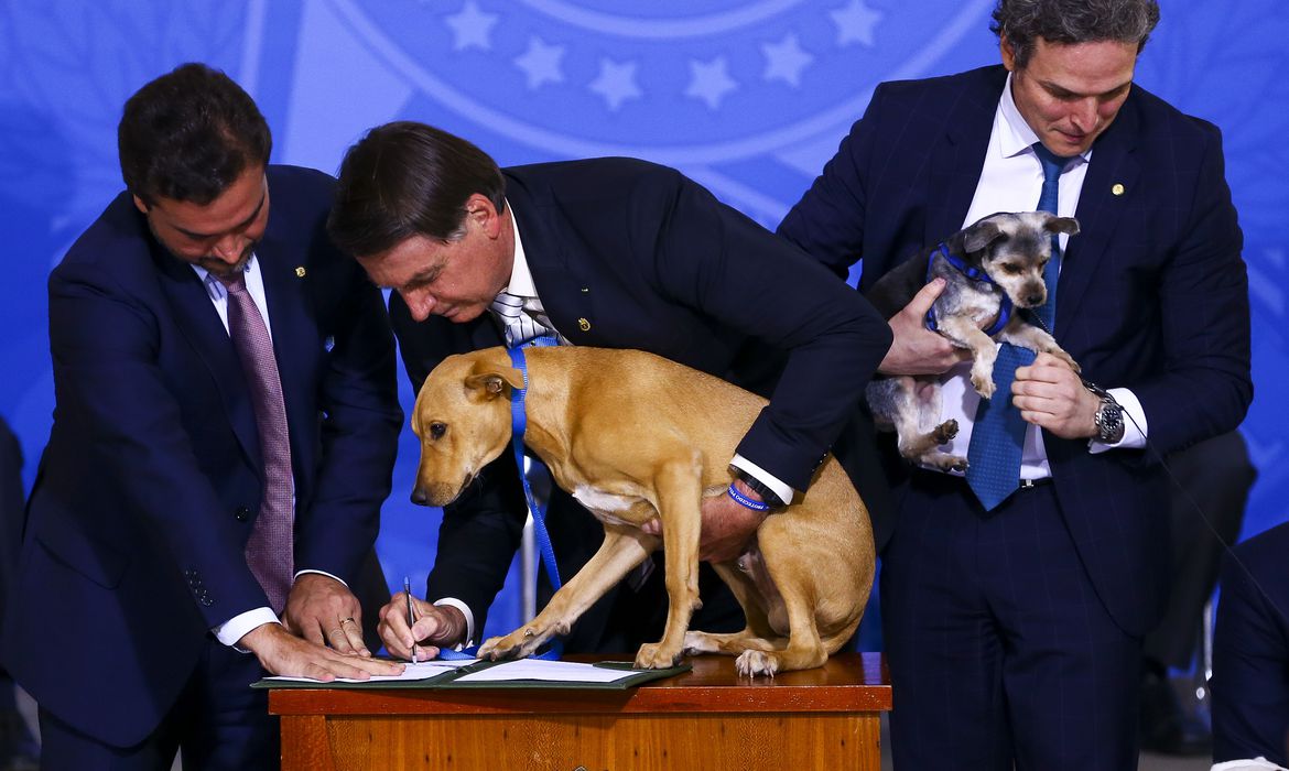 Jair Bolsonaro assina lei de proteção aos animais, para depois indicar Kassio Nunes ao STF