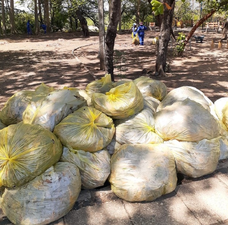 A população precisa colaborar para evitar o acúmulo ou descarte irregular