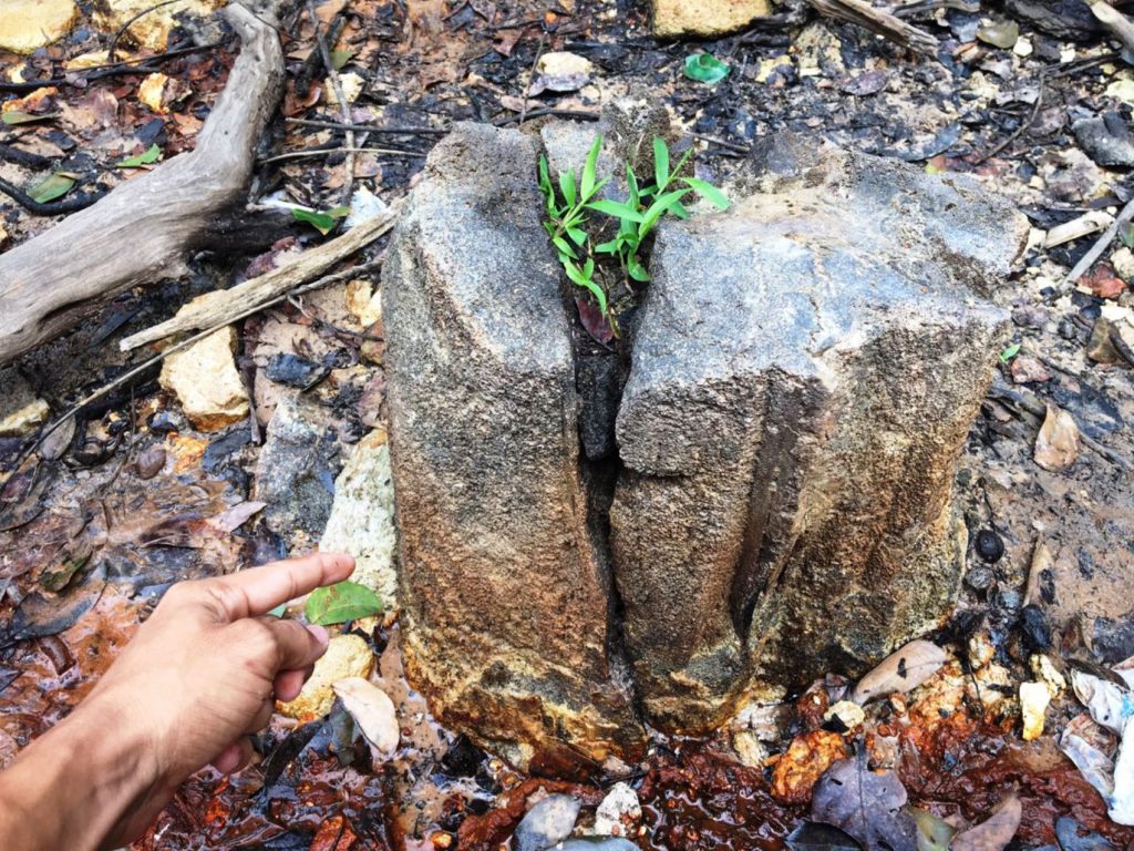 O Parque Ambiental da Floresta Fóssil do rio Poti constitui um acervo paleontológico raro, que contém troncos datados da era Paleozoica, com aproximadamente 270 milhões de anos