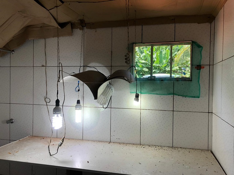 Após denúcias recebidas no whatsapp da SENARC, a Polícia Civil passou a investigar uma residência situada no Bairro Olho D’água