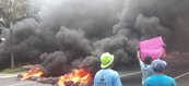 Carroceiros protestam em frente a Câmara Municipal de Teresina