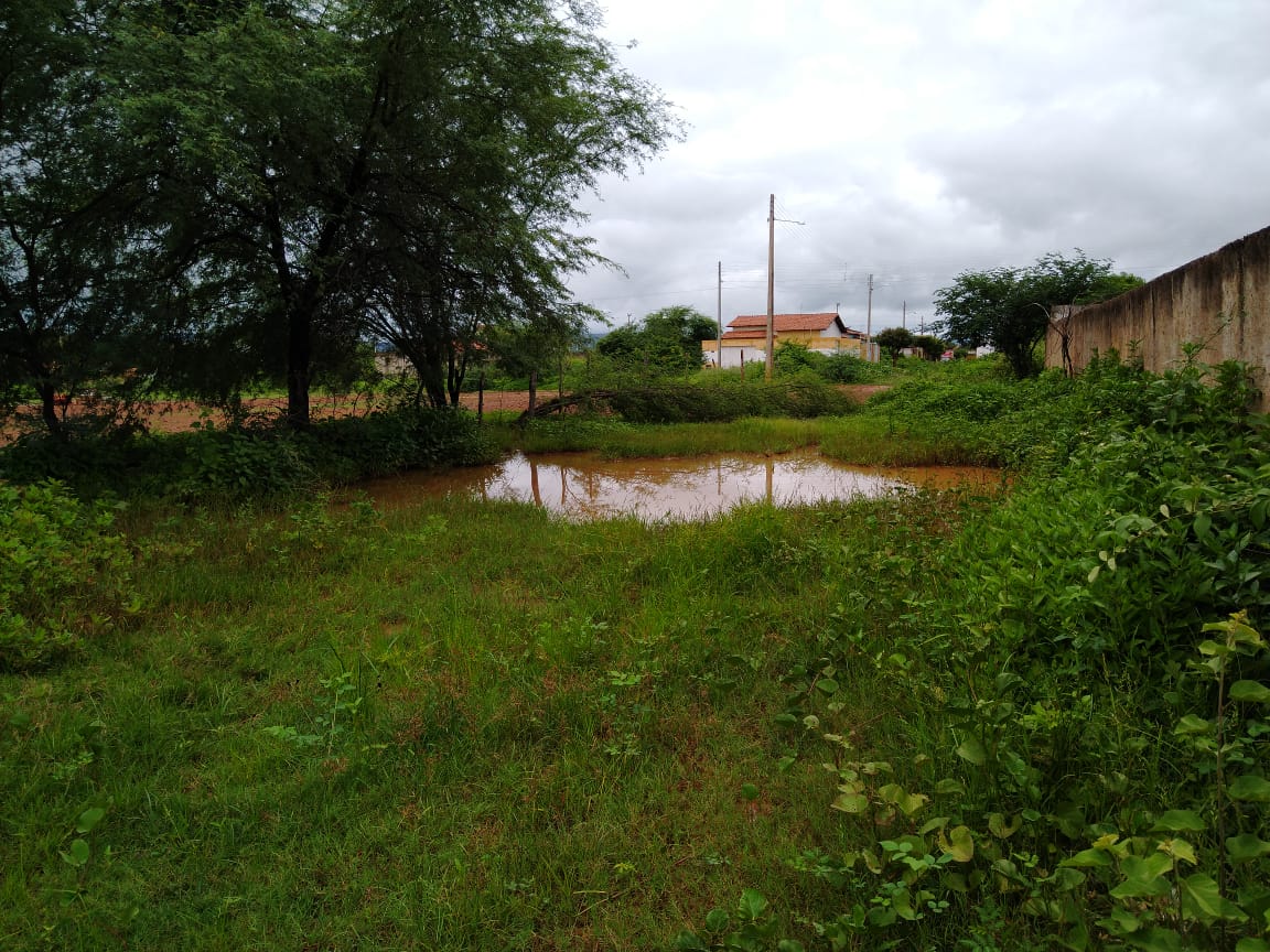 Outra demanda do bairro, são os locais com água acumulada, que contribuem na proliferação de mosquitos, causando problemas de saúde