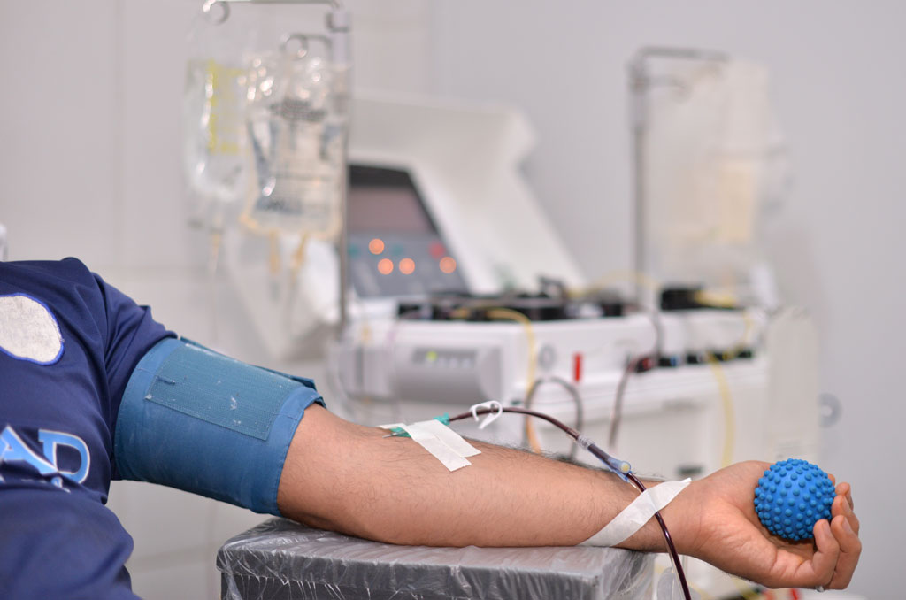 Após passar por testes sorológicos, o plasma doado será encaminhado à área de processamento do Hemocentro