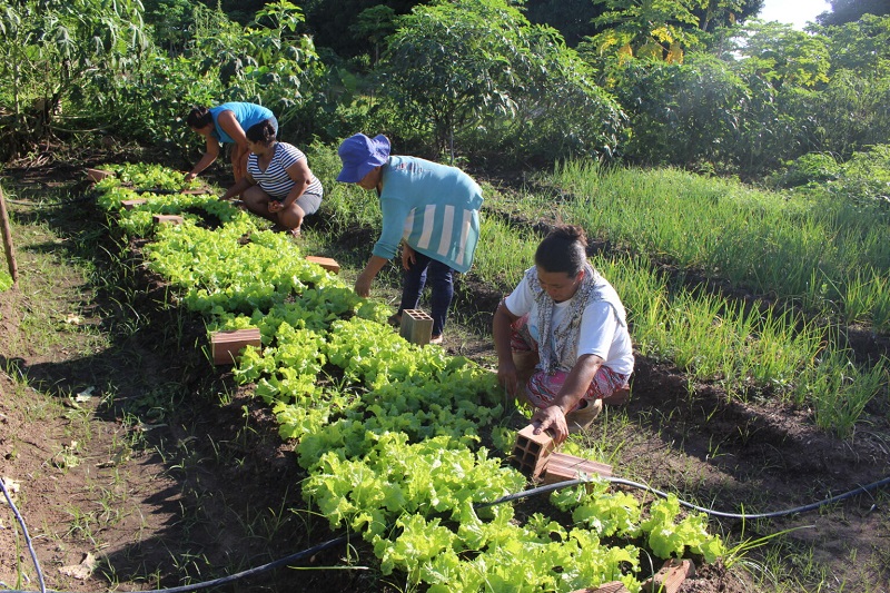 Em breve também contará com os mais variados produtos da agricultura familiar