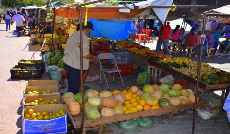 Feira Livre de Jaicós (PI)