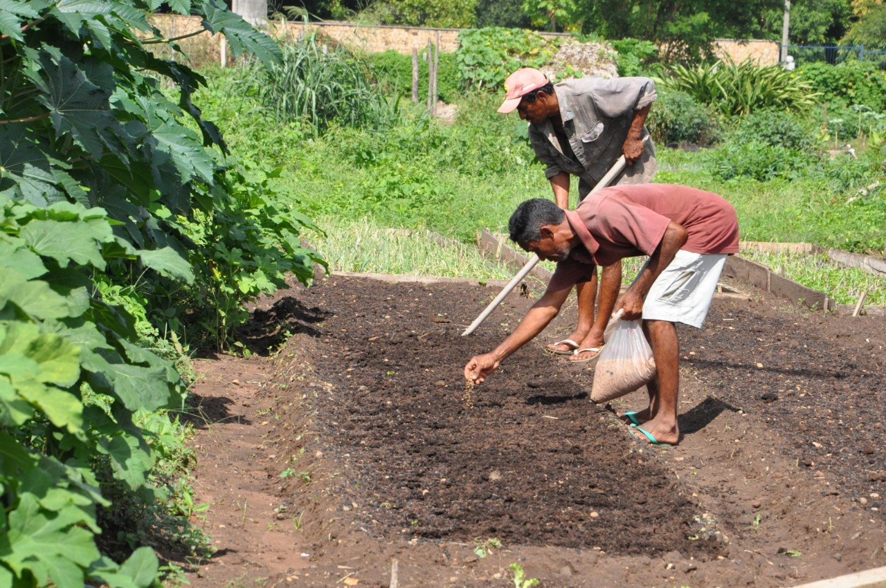 Horticultores de Teresina