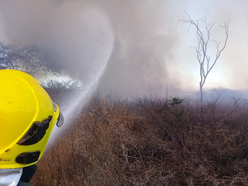 Incêndios de grandes proporções em vegetação