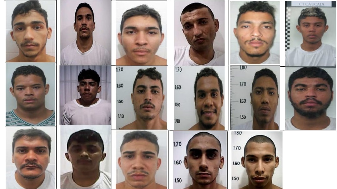 Perfil dos fugitivos