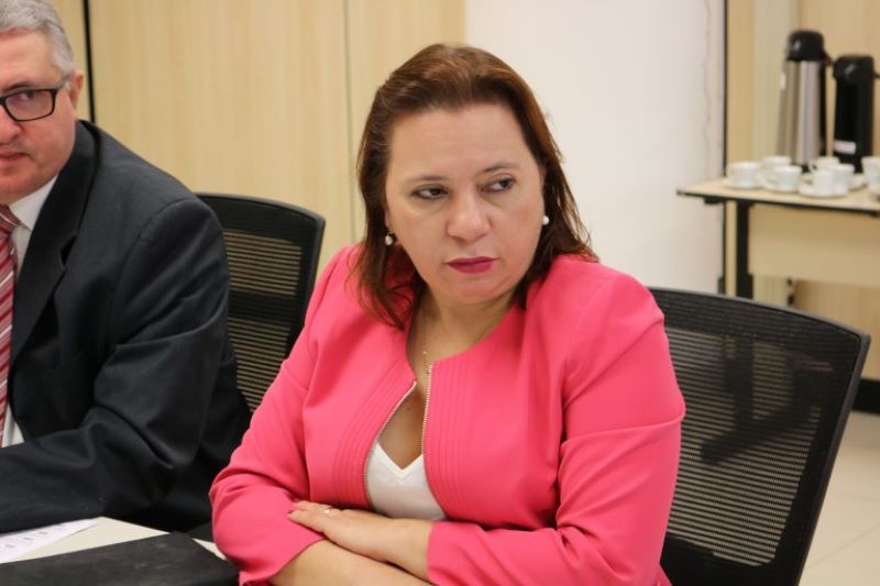 Conselheira Waltânia Alvarenga