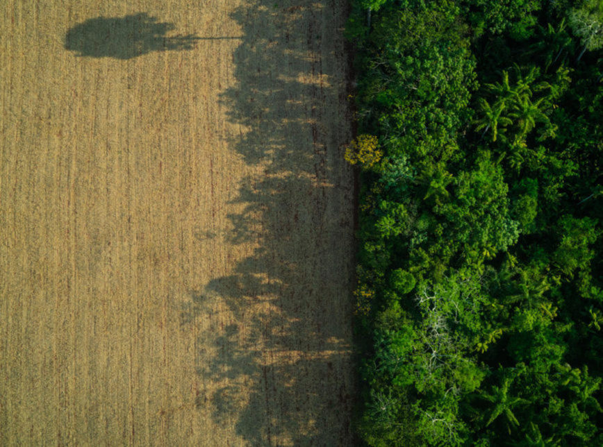 Amazônia