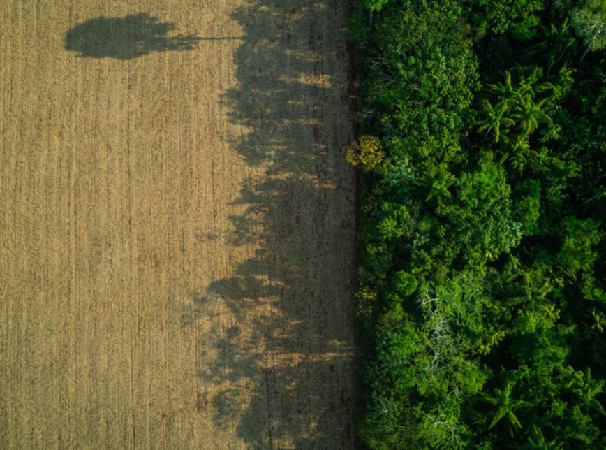 Amazônia