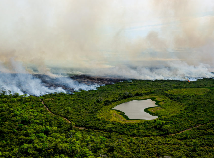 Imagens de incêndios no Pantanal