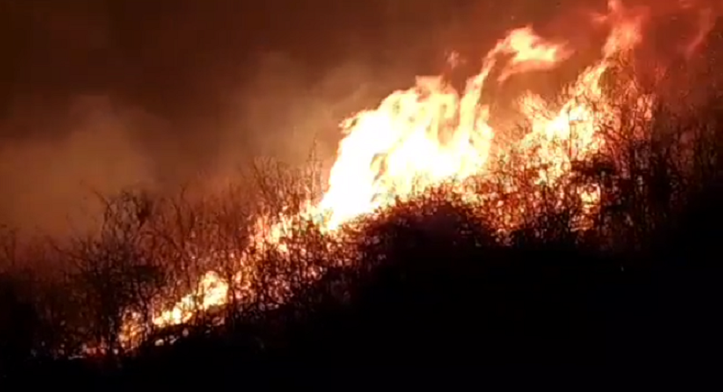 Incêndio de grandes proporções em Domingos Mourão