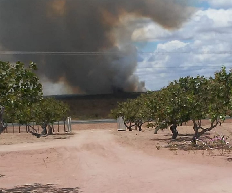 Pio IX, no interior do Piauí