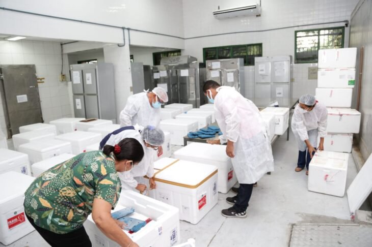 CoronaVac chega ao Piauí e começa atender às prioritades (Foto: Ascom/Governo/PI) CoronaVac chega ao Piauí e começa atender às prioritades (Foto: Ascom/Governo/PI)