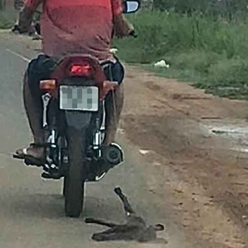 Homem é flagrado em motocicleta arrastando cachorro por rodovia