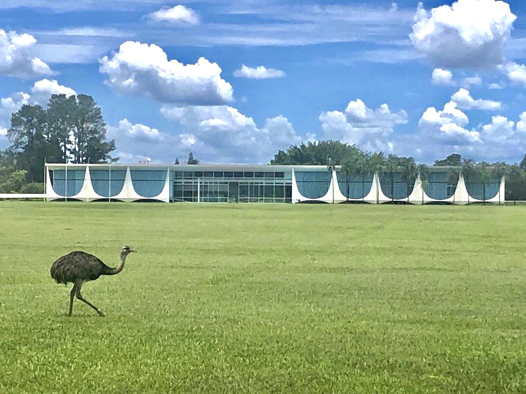 Palácio da Alvorada: A residência presidencial