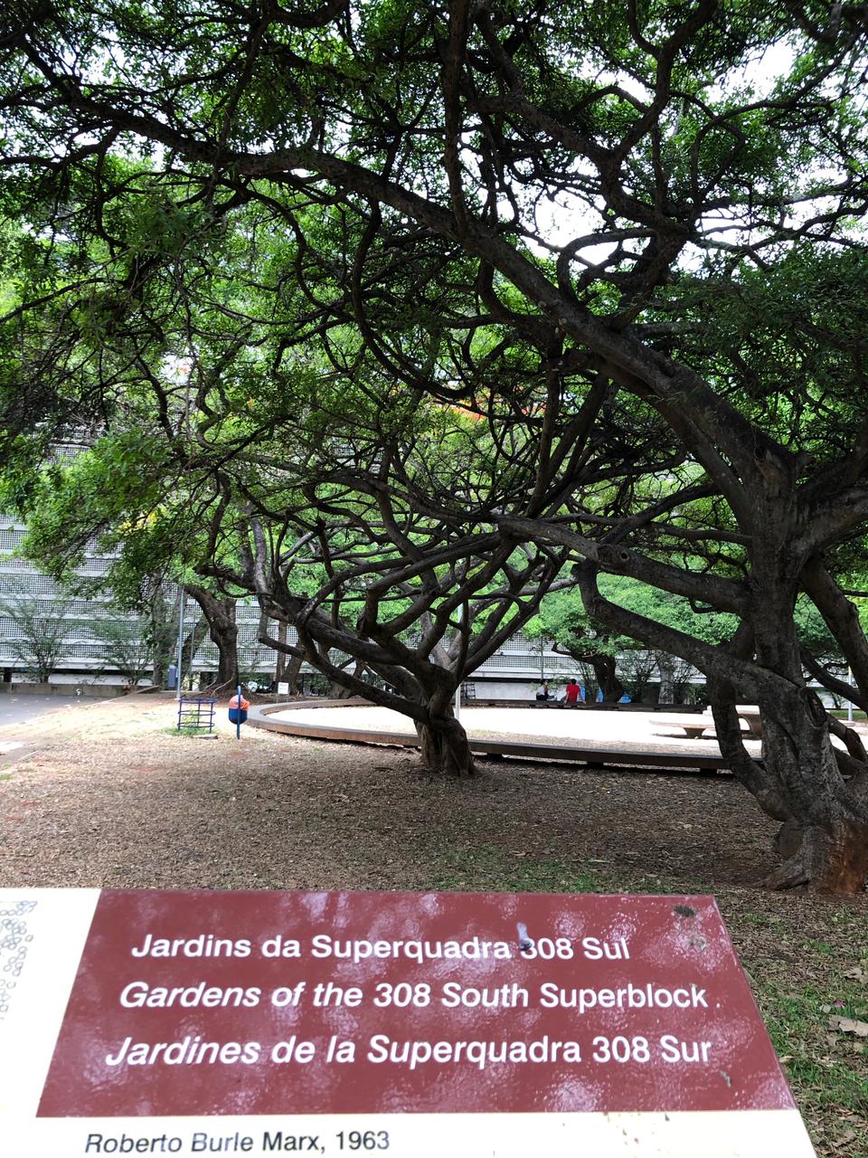 Quadra 308 Sul (Quadra Modelo): Todo o paisagismo foi projetado por Burle Marx