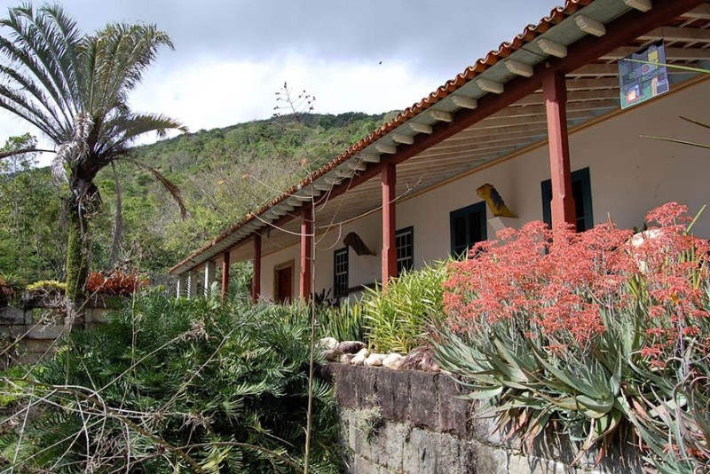 Sítio Roberto Burle Marx