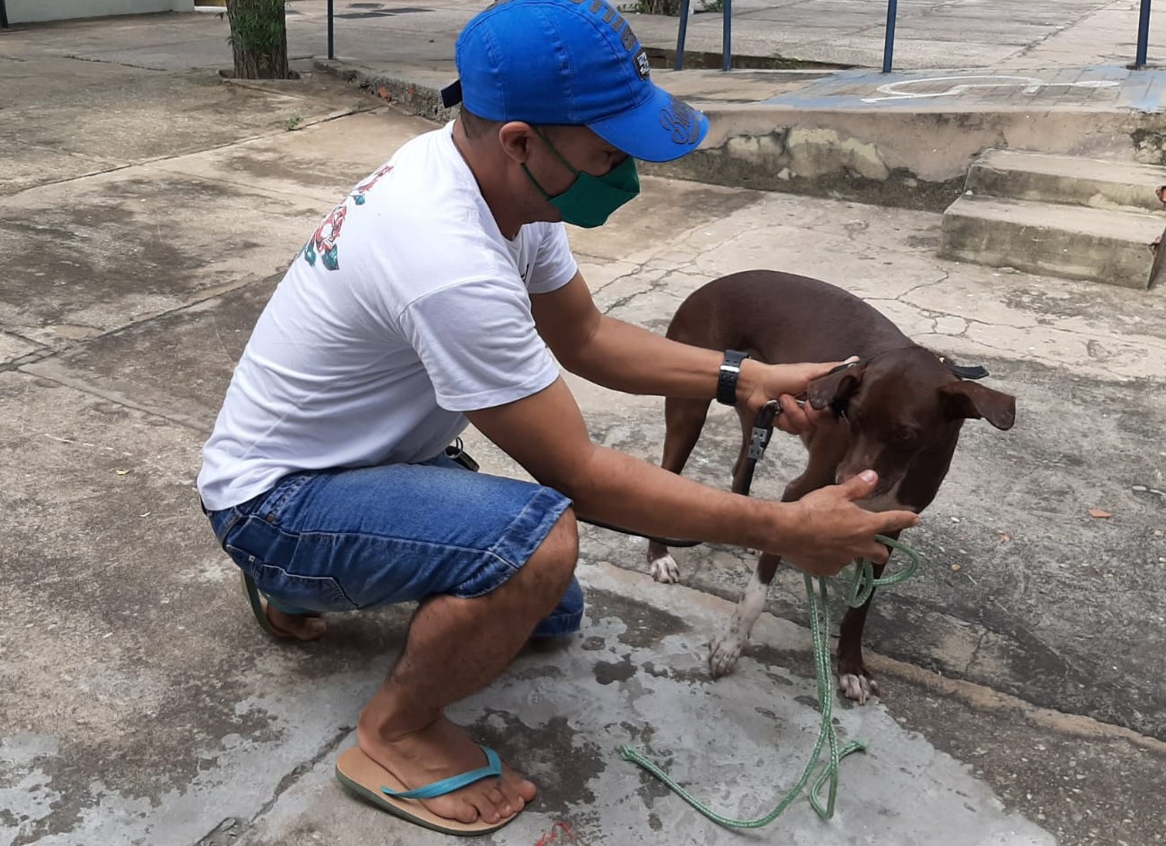 FMS realiza vacinação contra a raiva nas zona Sul e Sudeste