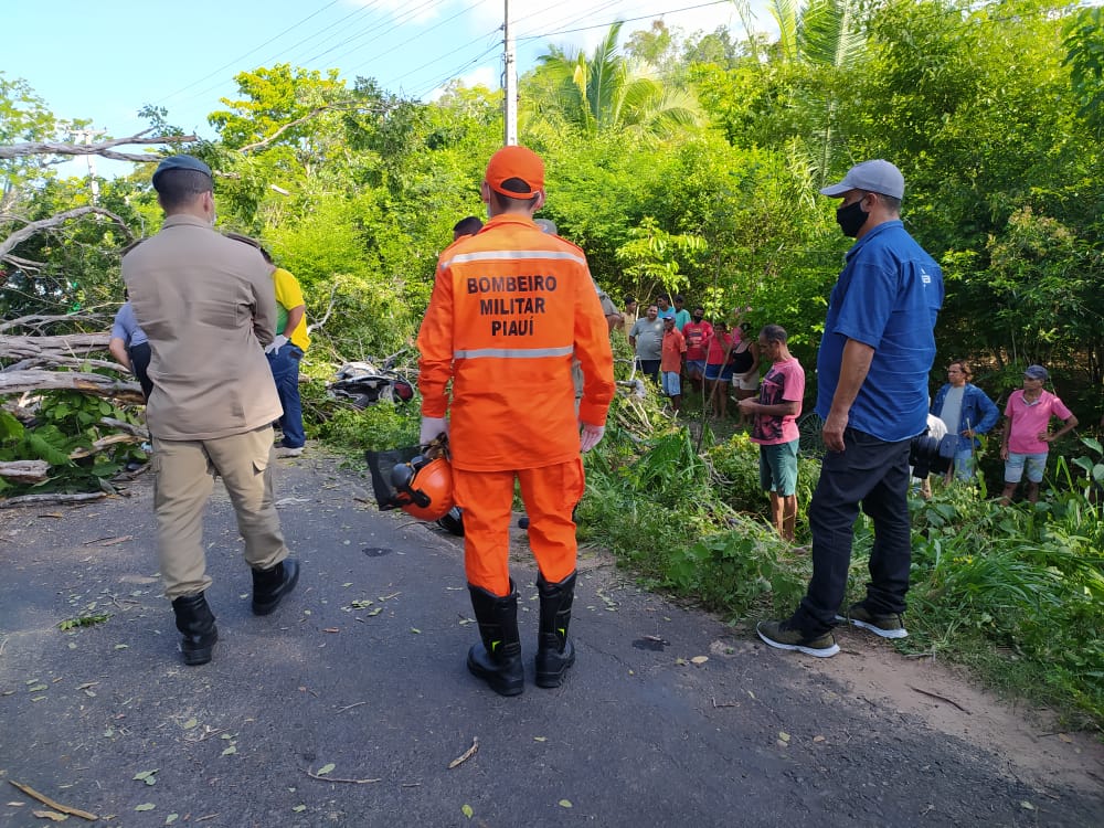 Motociclista morre ao ser atingido por árvore