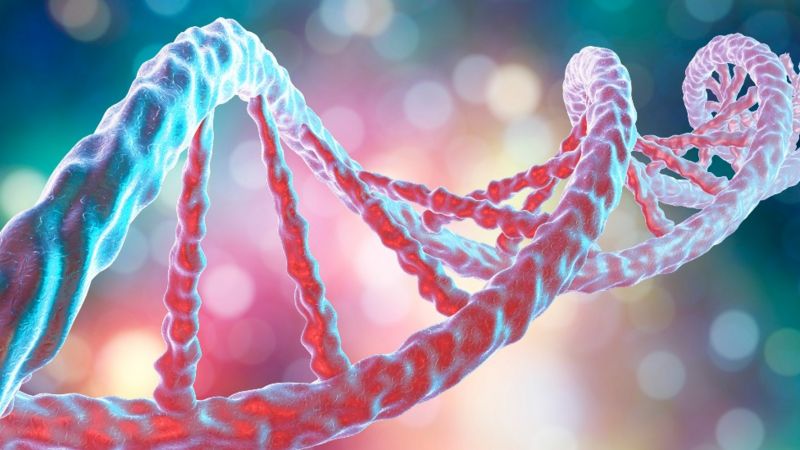 Pacientes que carregam a variante genética de alto risco provavelmente acabam com mais células infectadas e menos capacidade de cura
