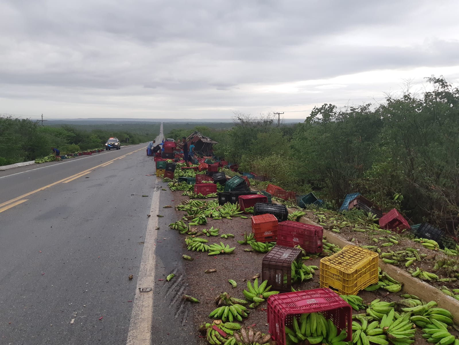 Caminhão carregado de bananas tomba
