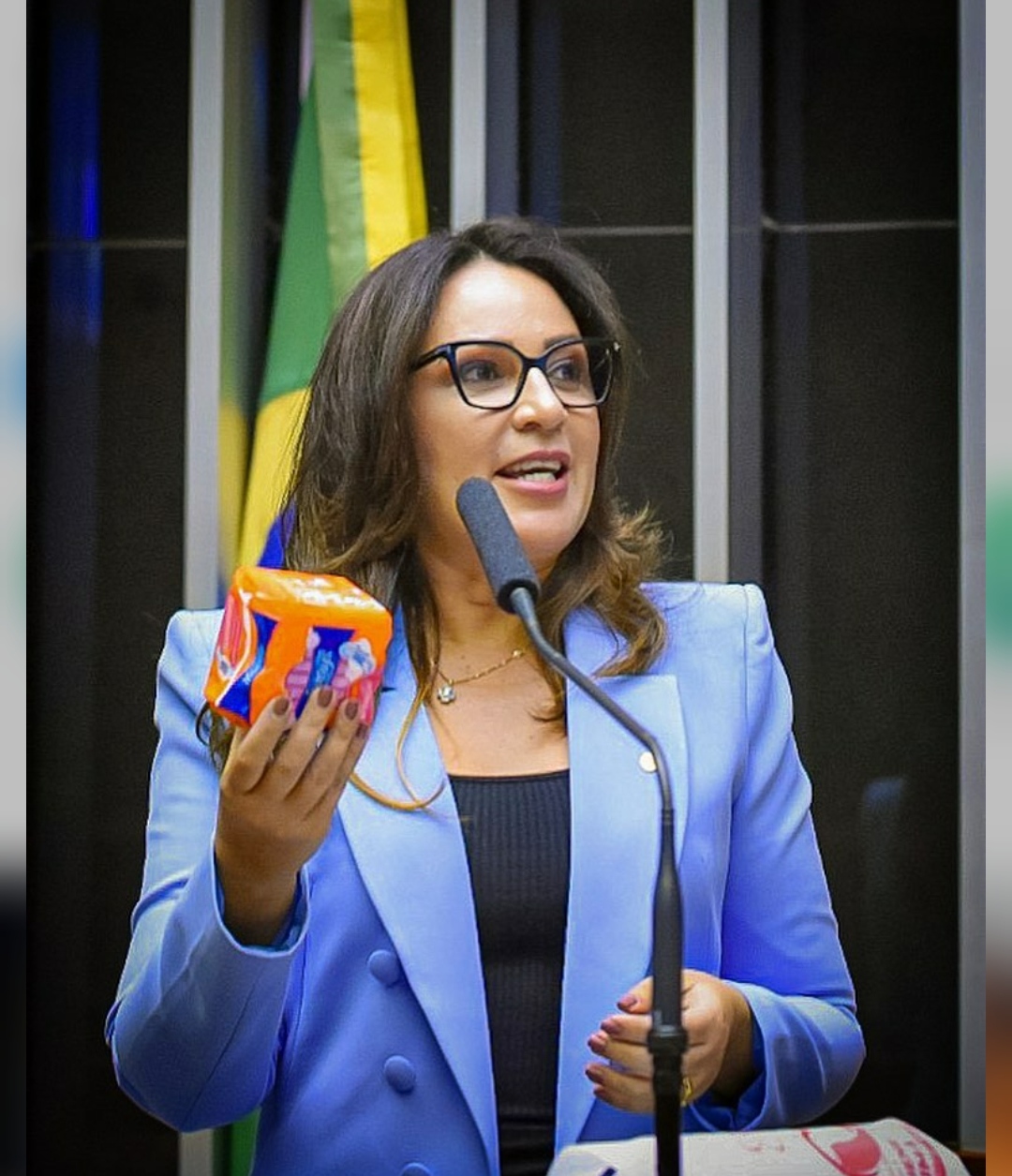 Deputada federal, Rejane Dias (PT-PI)