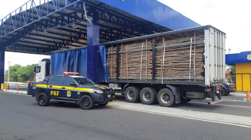 Madeira ilegal apreendida pela PRF