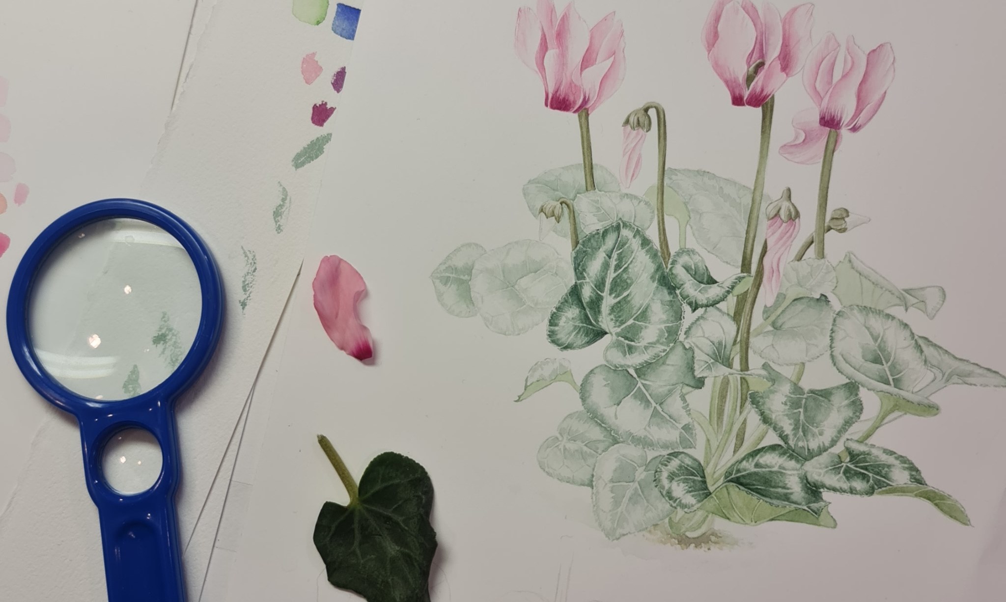 O estudo que ela fez no Curso de Desenho e Aquarela Botânica, no Royal Botanic Gardens Kew, no Reino Unido.