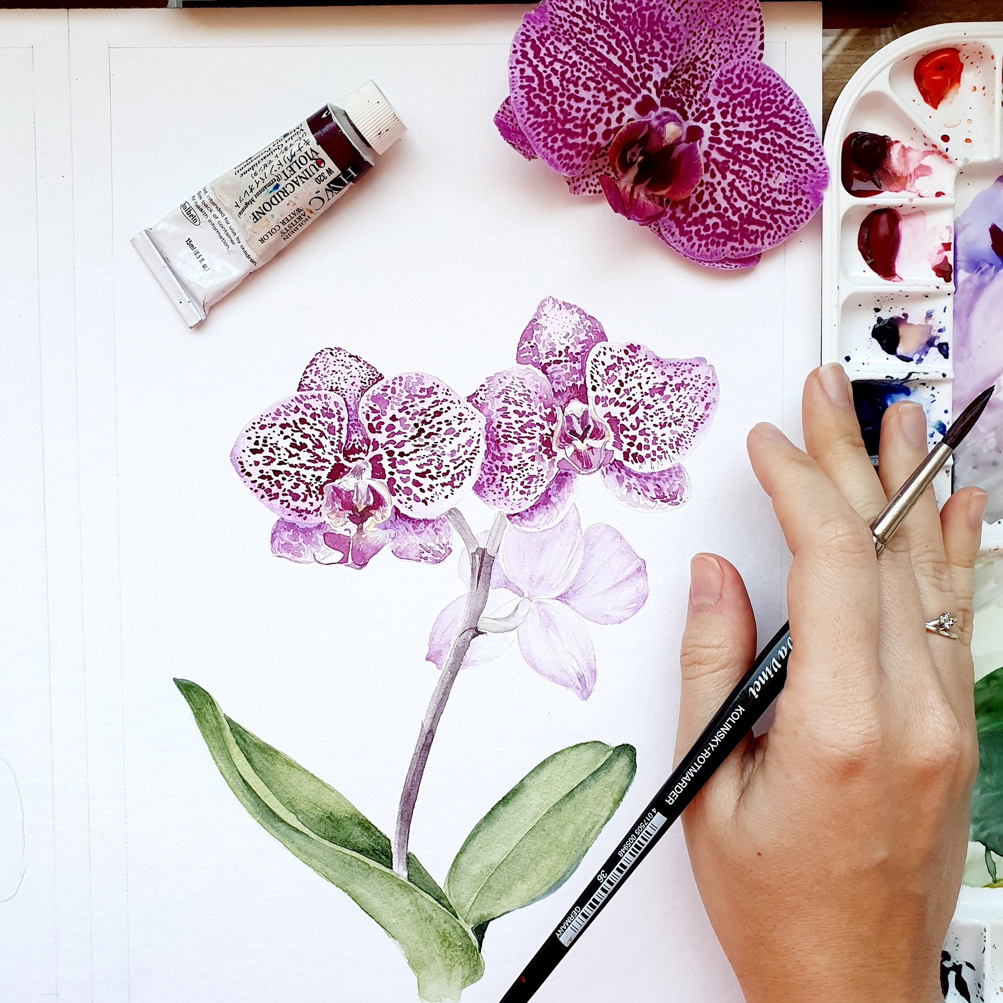 Orquídeas aquareladas sobre papel