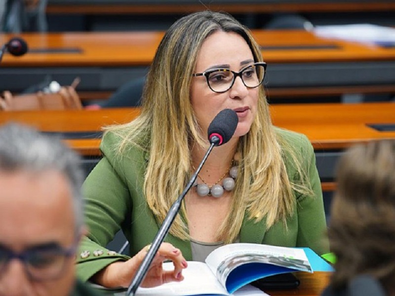 Deputada federal Rejane Dias (PT-PI)