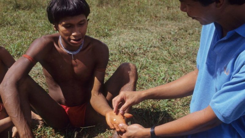 | Indígena recebe comprimido de ivermectina no maior programa de doação de medicamentos do mundo. A oncocercose já foi eliminada de quatro países latino-americanos e só é encontrada atualmente na divi