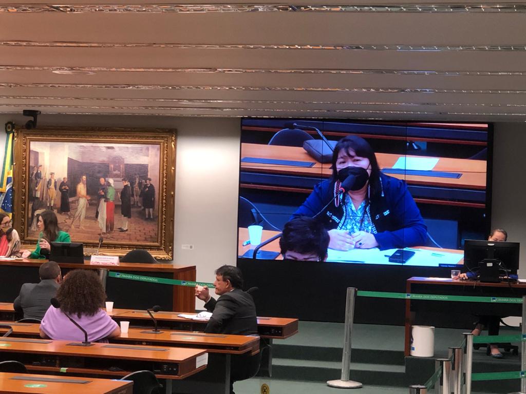 Deputada Federal Joênia Wapichana (REDE) é a primeira mulher indígena á exercer a advocacia e cargo político no Brasil