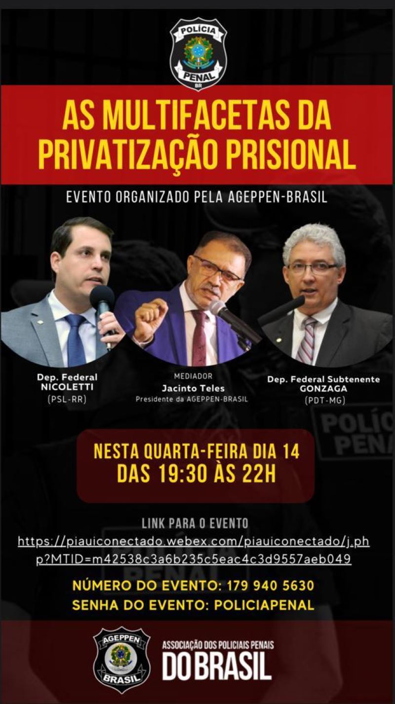As Multifacetas da Privatização Prisional no Brasil
