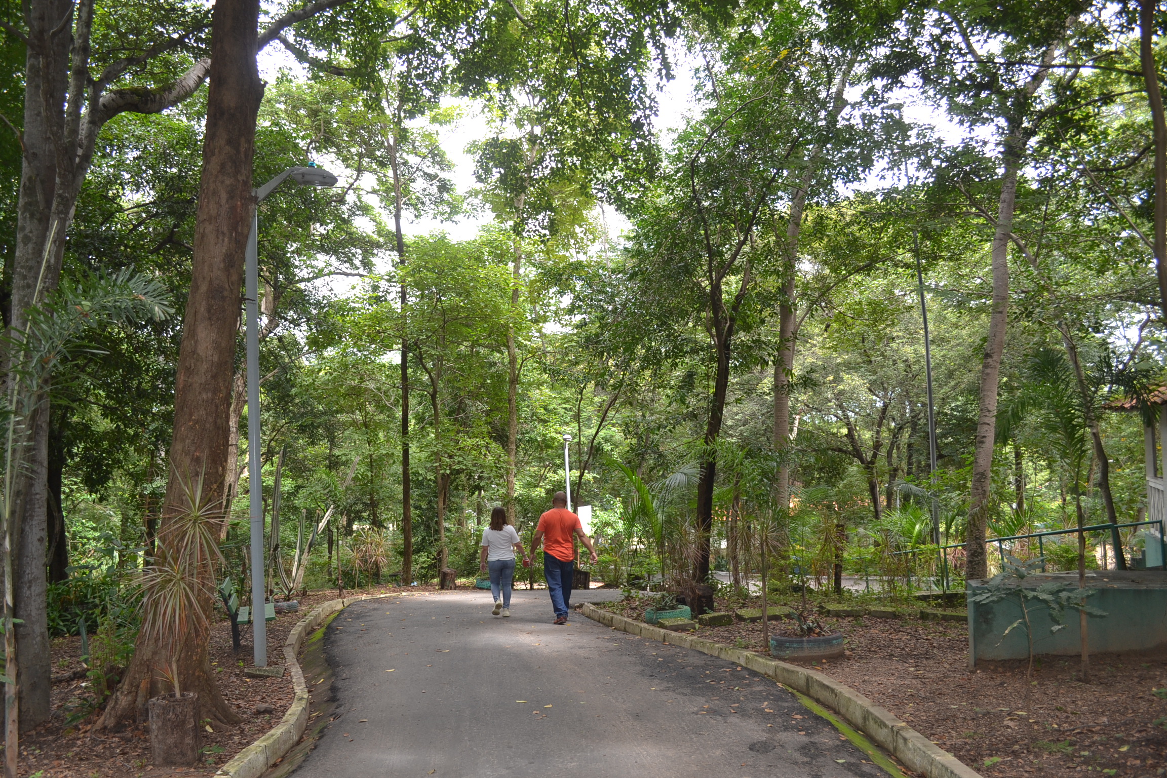 Serão criados mais três novos parques ambientais em Teresina