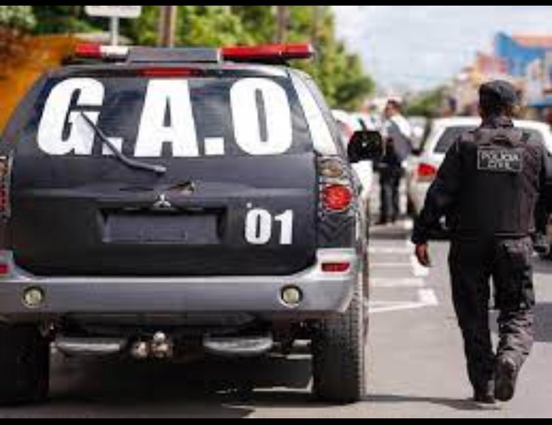 Grupo de Apoio Operacional (GAO) da Polícia Civil