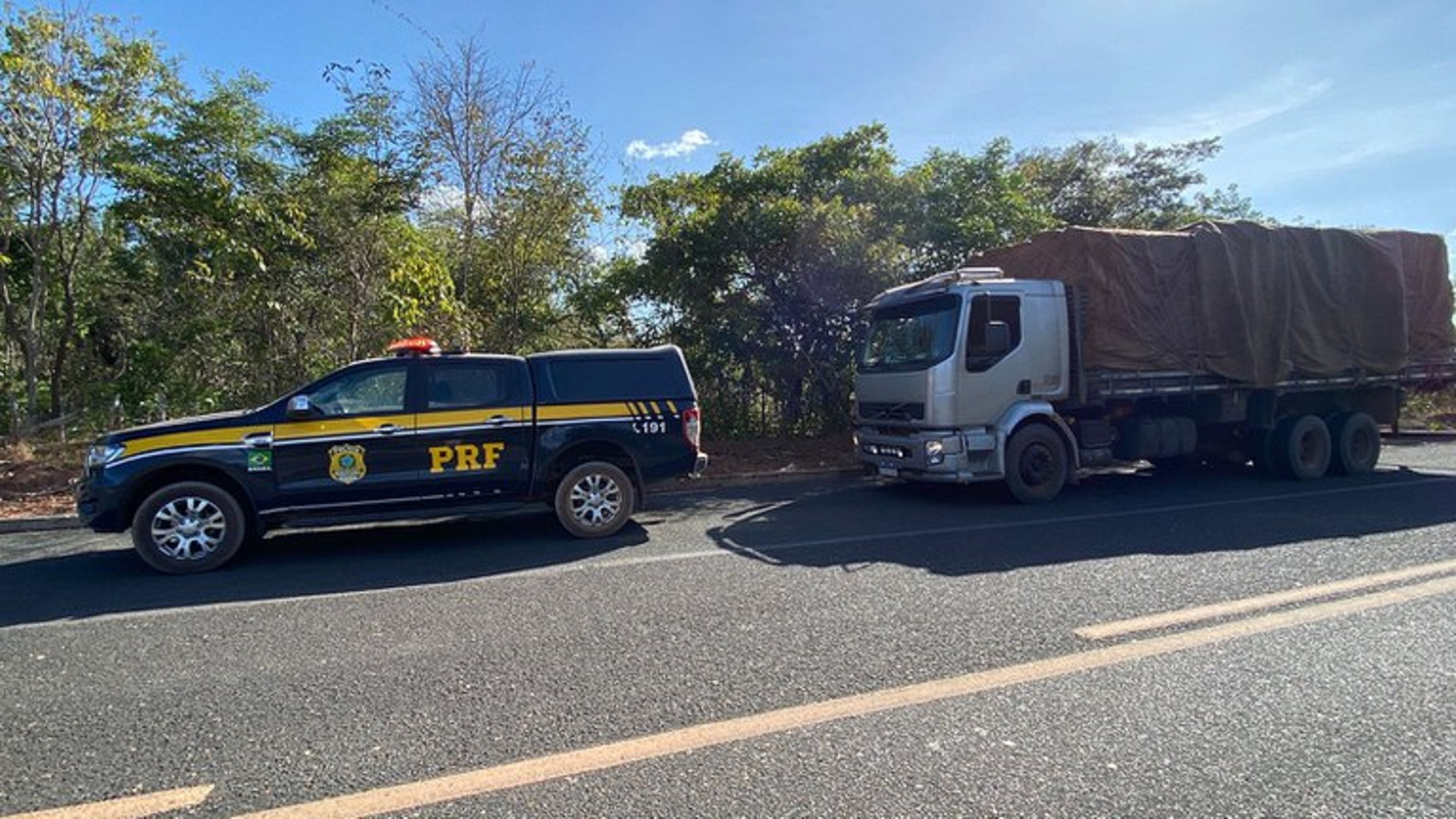 Carga de madeira ilegal