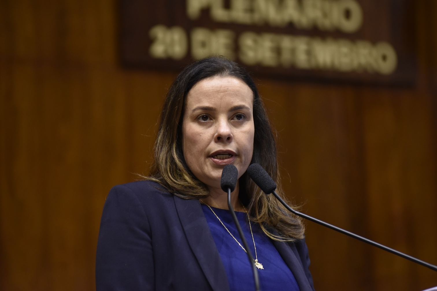 Juliana Brizola (PDT-RS)