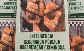 “Inteligência, Segurança Pública, Organização Criminosa"